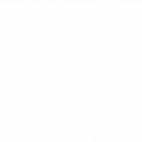 lyonsvh pets champ vet veterinarian GIF