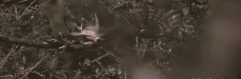 One More Time GIF by Jon Bellion