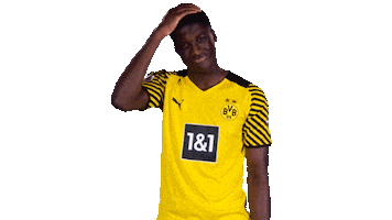 No Way Omg Sticker by Bundesliga