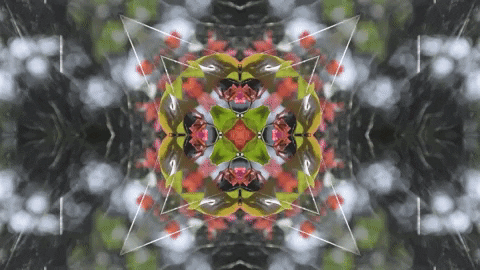 Art Love GIF by jorgemariozuleta