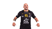 Celebration Handball Sticker by Team Chambé