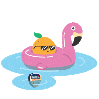 floating orange bowl Sticker by Capital One