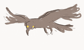 sophieaillustration  GIF