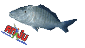 anjupesca fishing yuki pesca fisherman Sticker
