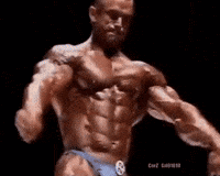 Gym Posing GIF