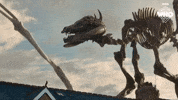 Season 2 Skeleton GIF by Doctor Who