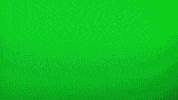 Video Game Loop GIF by Fall Guys