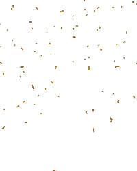 Gold Celebrate Sticker by Postcode Loterij