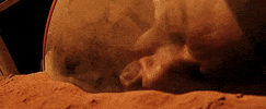 matt damon GIF by Film Society of Lincoln Center