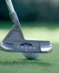 TaylorMadeGolfMx  GIF