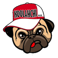 koolahchi koolahchi Sticker