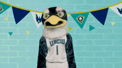 Homecoming Seahawk GIF by UNCW Alumni Association