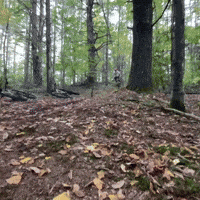 Mtb Case GIF