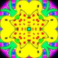 GIF by Miron