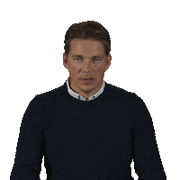 Horse Jumping Sticker by BrabantSport