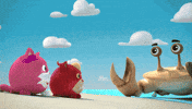 Angry Cat GIF by HangryPetz
