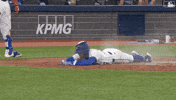 Sliding Blue Jays GIF by Toronto Blue Jays