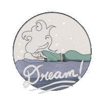 Good Night Sleeping Sticker