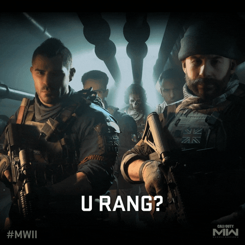 You Rang Fps GIF by Call of Duty
