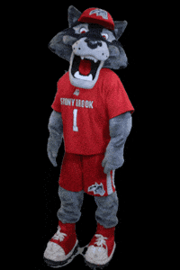 Long Island Love GIF by Stony Brook University