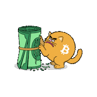 Cat Crypto Sticker by herecomesbitcoin