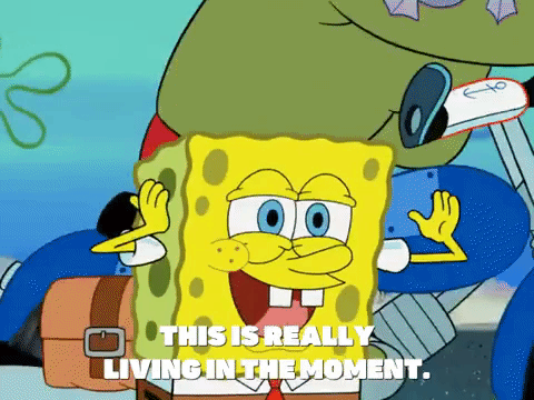 season 6 GIF by SpongeBob SquarePants