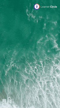 GIF by Learner Circle