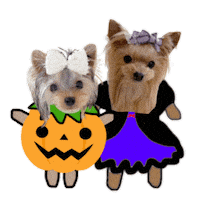 はろおふかいすたんぷ Sticker