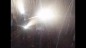 animation film GIF by CATTURA Production