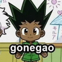 Gon Hunter X Hunter GIF