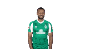 Bundesliga Mbom Sticker by SV Werder Bremen