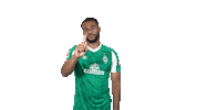 Bundesliga Mbom Sticker by SV Werder Bremen