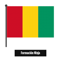 Flag Bandera Sticker by Formación Ninja