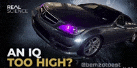 Crow GIF