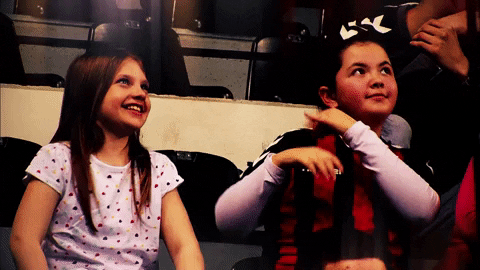 fan joy GIF by EHF