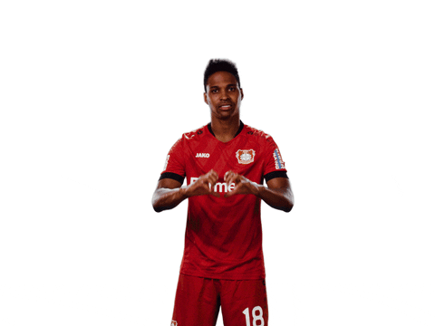 Bayer 04 Love GIF by Bayer 04 Leverkusen