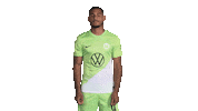 Happy Football Sticker by VfL Wolfsburg