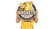 Ewe Baskets Basketball Sticker by EWE Baskets Oldenburg