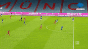 Germany Running GIF by MolaTV