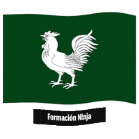 Flag Spain Sticker by Formación Ninja