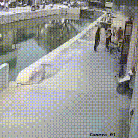 giphyupload GIF