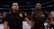ufc 214 GIF