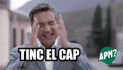Catalunya GIF by Alguna Pregunta Més?