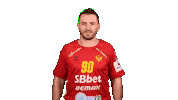 Sport Celebration Sticker by EHF