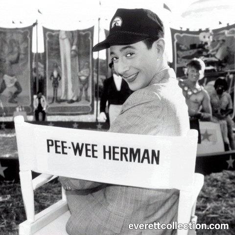 EverettPhotos giphygifmaker peewee GIF