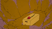 Laid To Rest Funeral GIF by sarahmaes