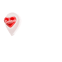 Sanlorenzo Sticker by Alcaldía Salinas