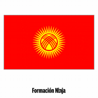 Flag Bandera GIF by Formación Ninja