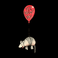 Limons_art texas howdy armadillo baloon GIF