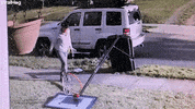 Woman Crawls Through Fallen Basketball Hoop GIF by ViralHog